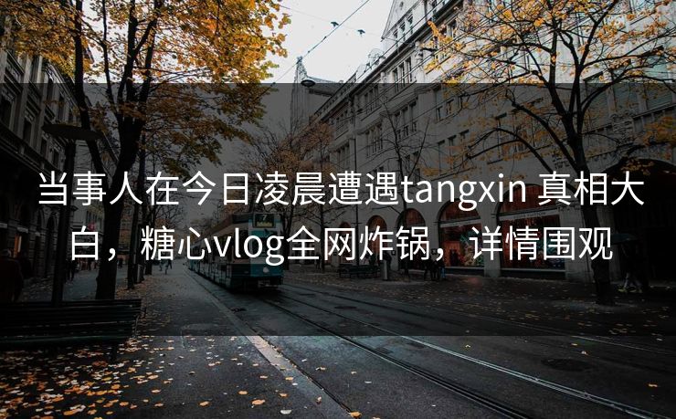 当事人在今日凌晨遭遇tangxin 真相大白,糖心vlog全网炸锅,详情围观